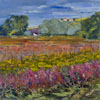 Summer Fields, Ayrshire